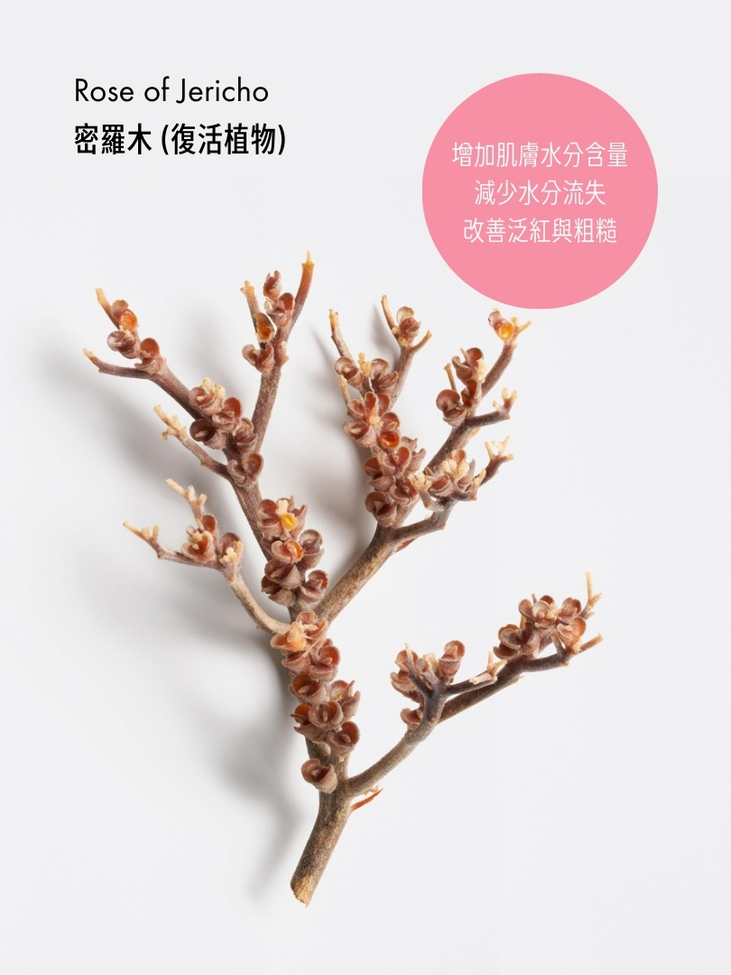 舒敏再生水潤面膜