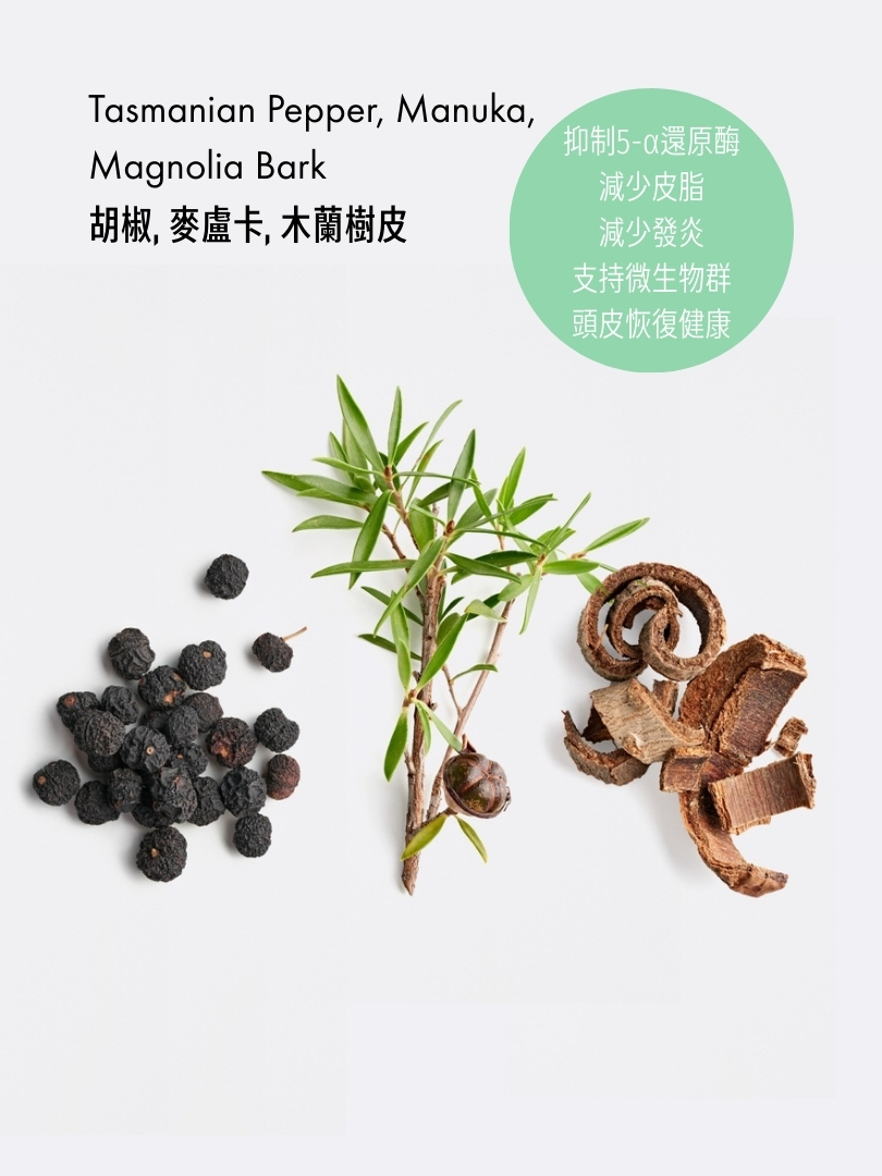 潔淨控油洗髮露