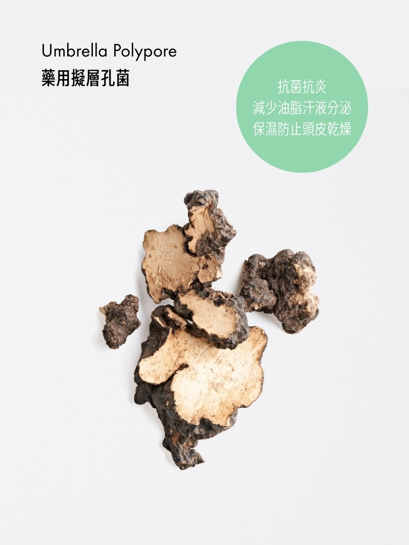 防汗清爽洗髮露