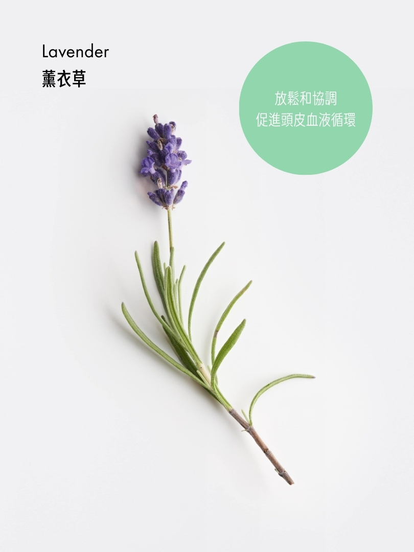 清爽複芳香薰油