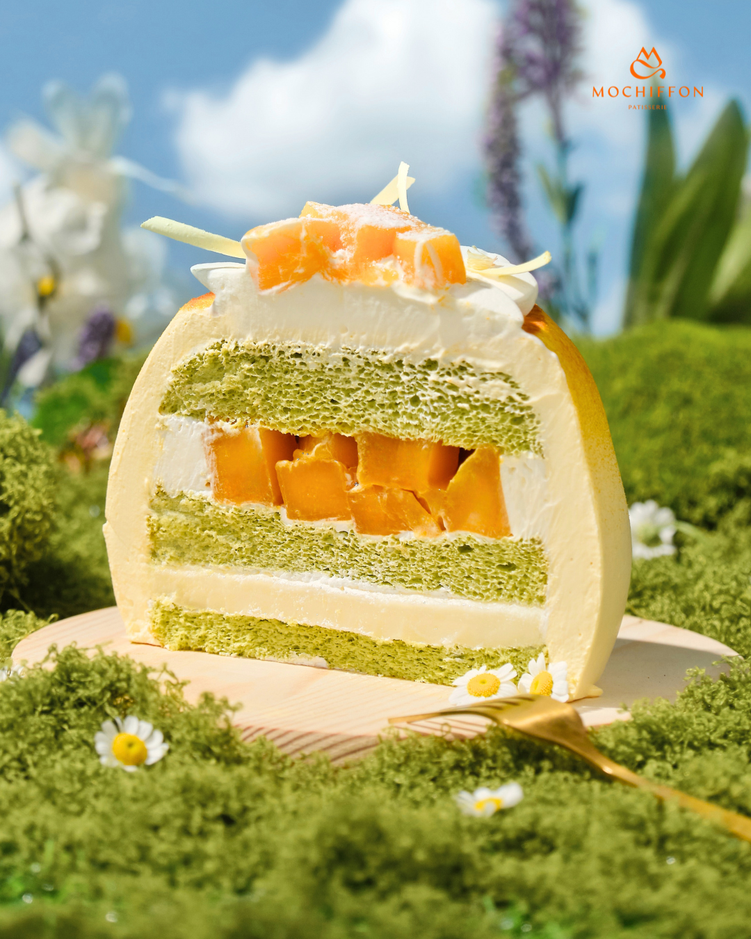 6 INCHES MANGO PANDAN PARADISE