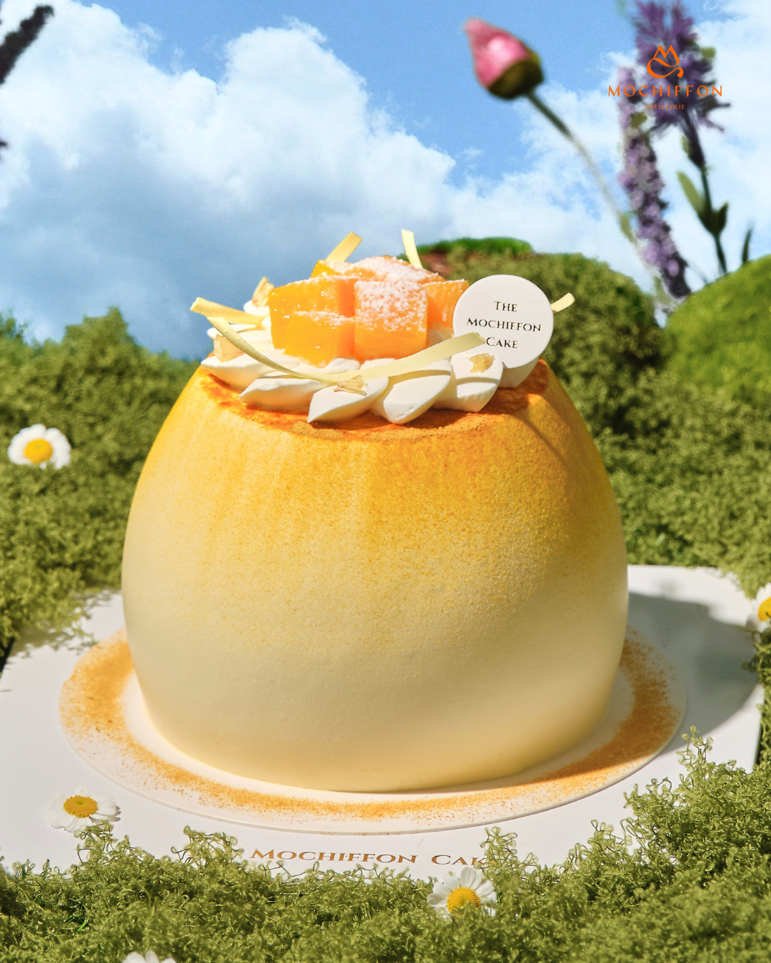 4 INCHES MANGO PANDAN PARADISE