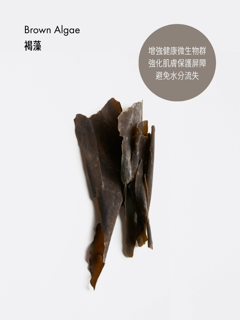 水療身體緊緻提升乳霜