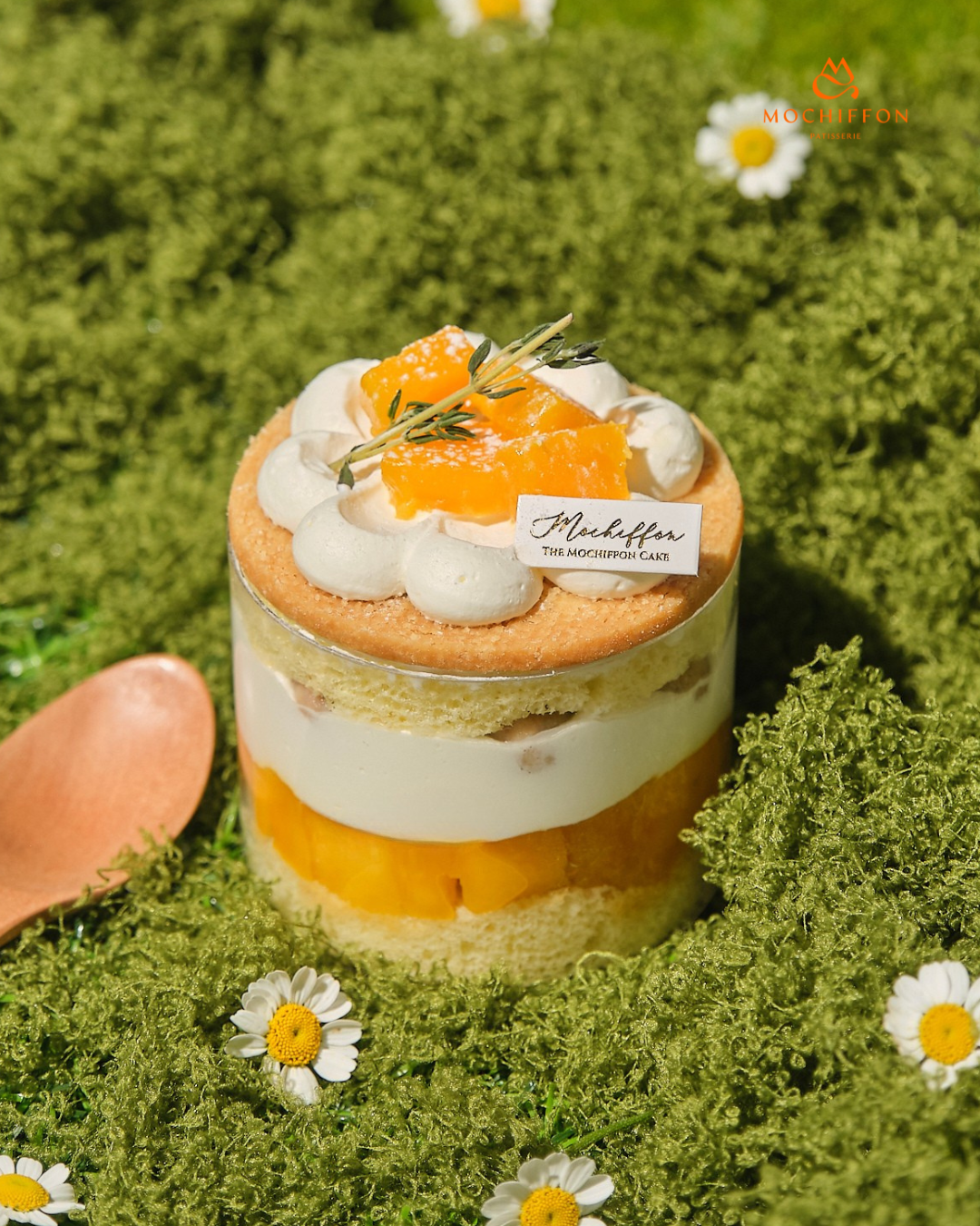 MANGO CHEESE 4cups