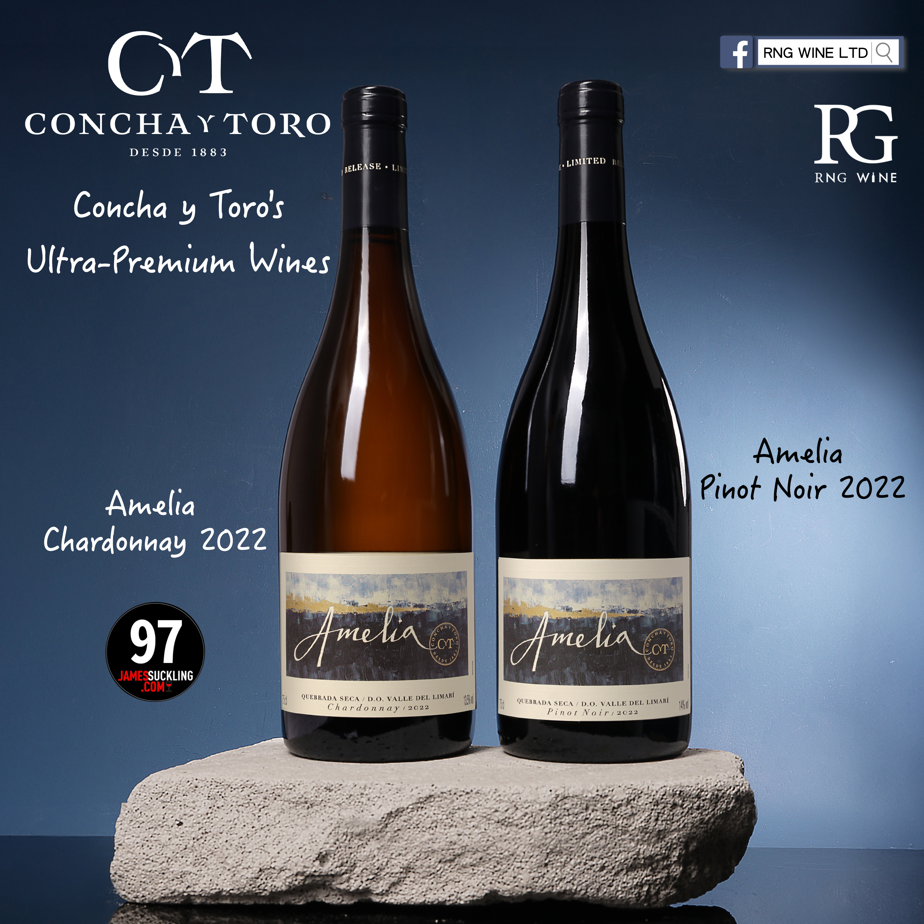 Concha y Toro Amelia Pinot Noir 2022