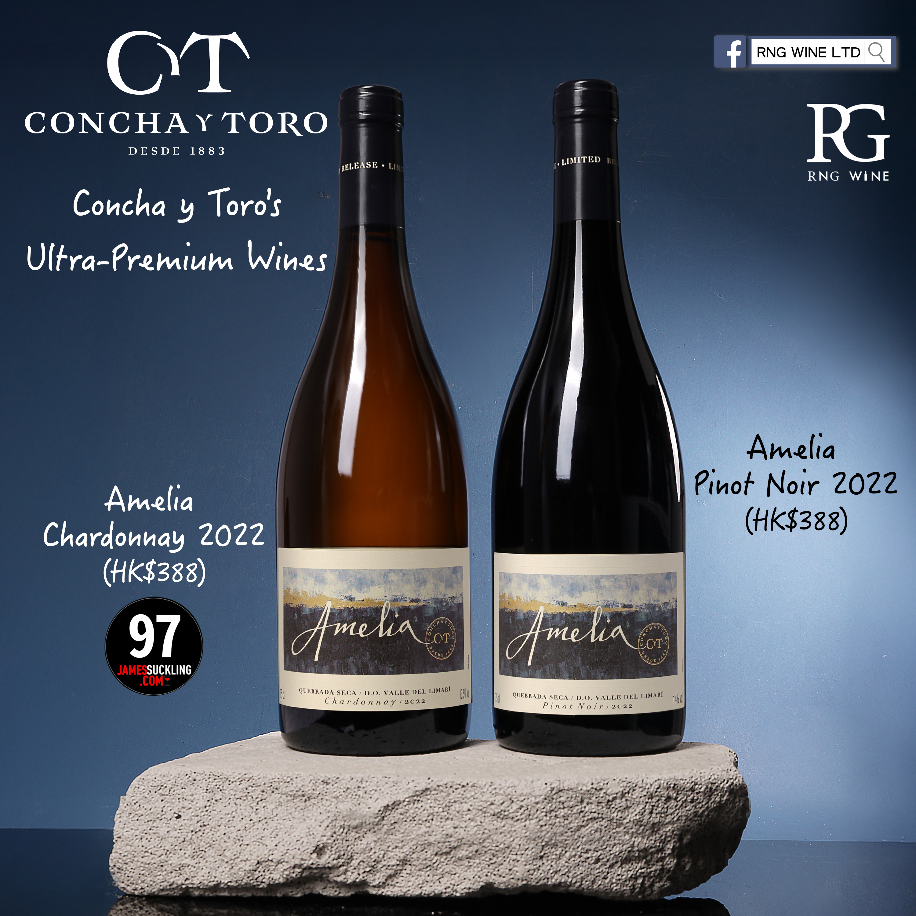 Concha y Toro Amelia Chardonnay 2022 - 6 Bottle Pack