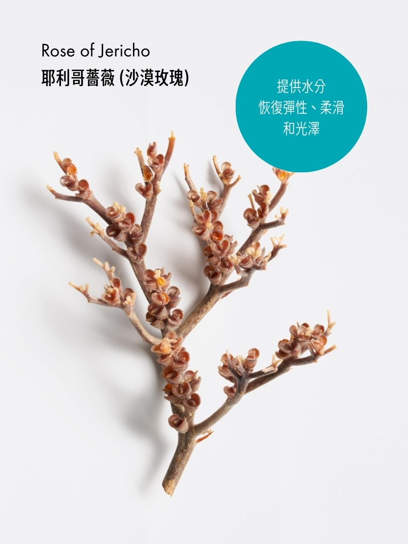 水盈滋潤修復洗髮露
