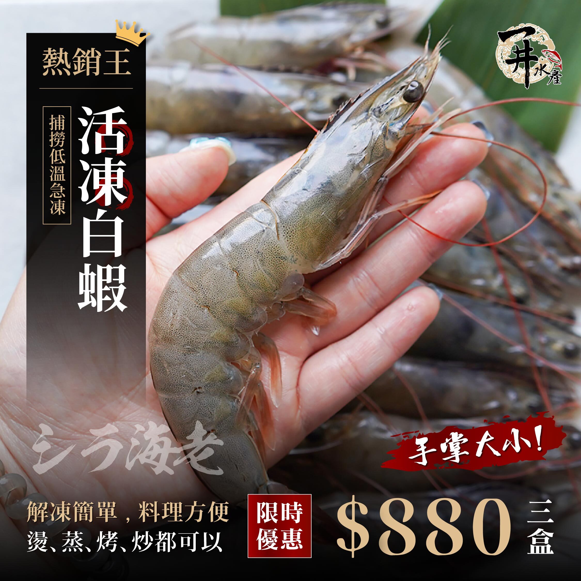 【限定特惠】龍王20/30活凍白蝦，3盒特惠$880 / 蝦子