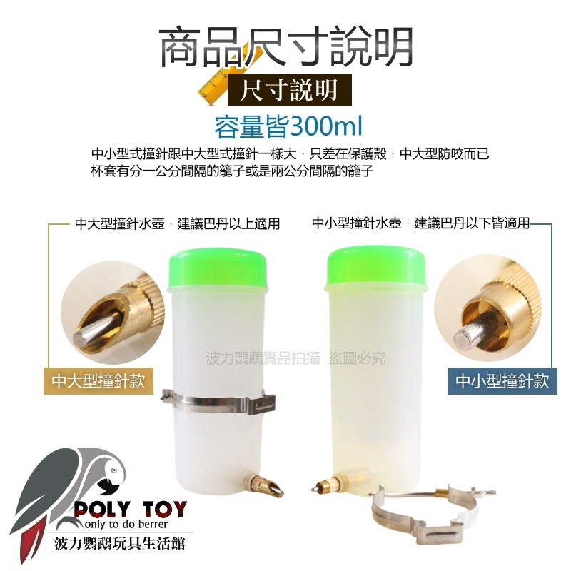 撞針式水壺 300ml 鸚鵡水杯 水壺 波力鸚鵡玩具生活館