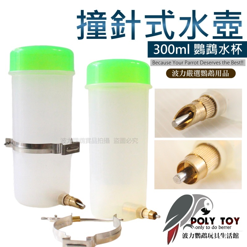 撞針式水壺 300ml 鸚鵡水杯 水壺 波力鸚鵡玩具生活館