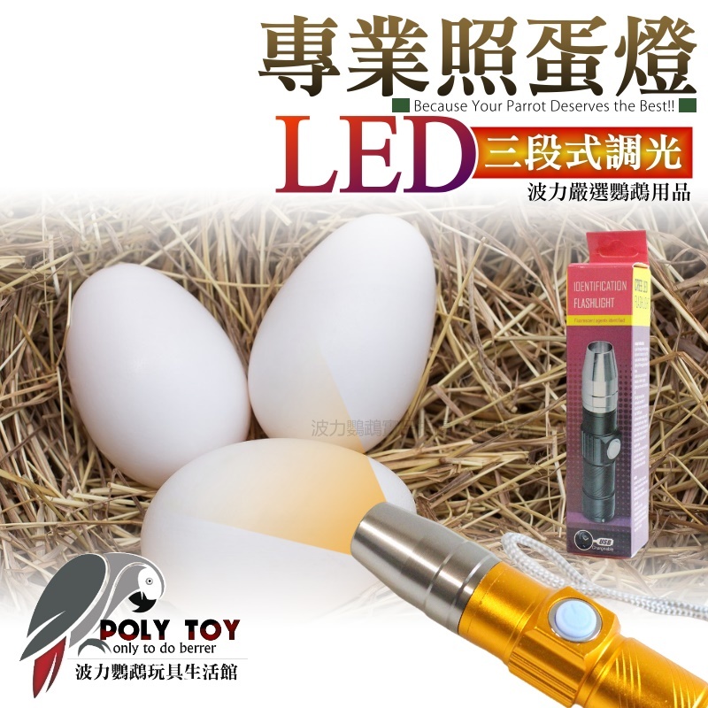 專業照蛋燈LED 三段式調光 波力鸚鵡玩具生活館