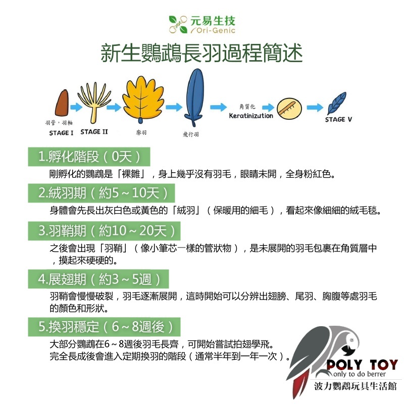 益毛當鮮 幫助羽色亮麗 幫助羽毛保持韌性 羽毛保健 營養用品 波力鸚鵡玩具生活館