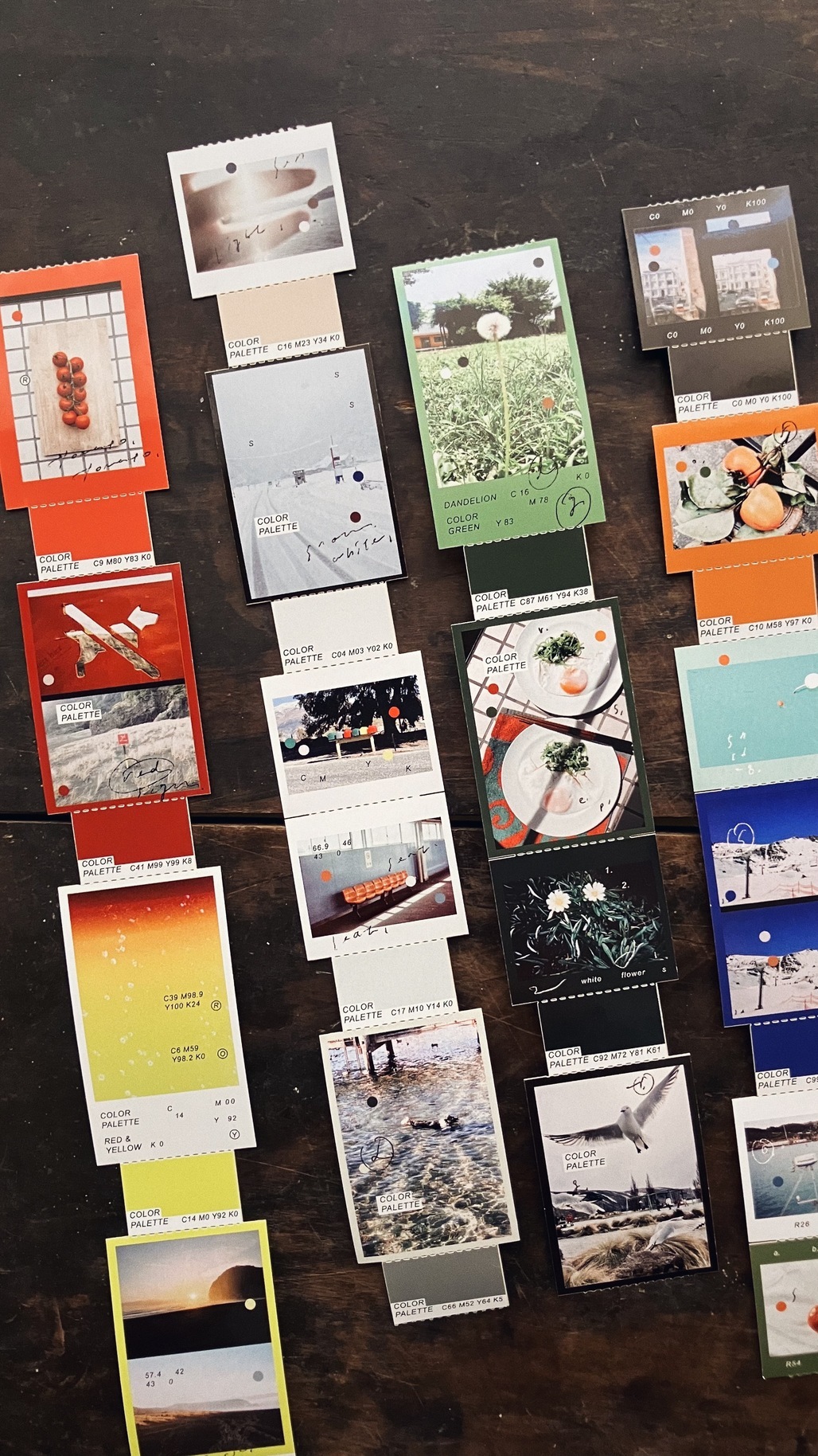 羊君．色彩學 3.5cm造型撕線模造紙膠帶 <整捲/分裝>