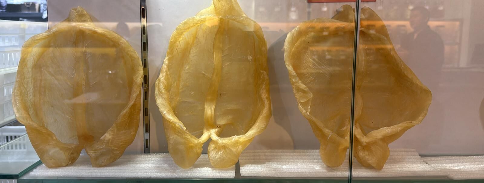 UQ042 頂級花膠 600g （+-5%）3隻