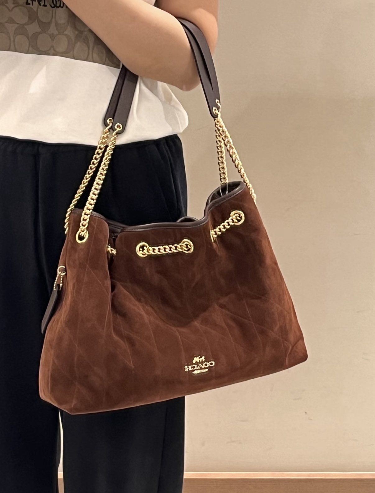 Coach Evelyn Shoulder Bag