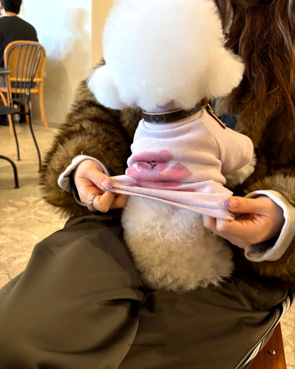 COZY-N 泰迪朋友高領衫＿奶油薰衣草