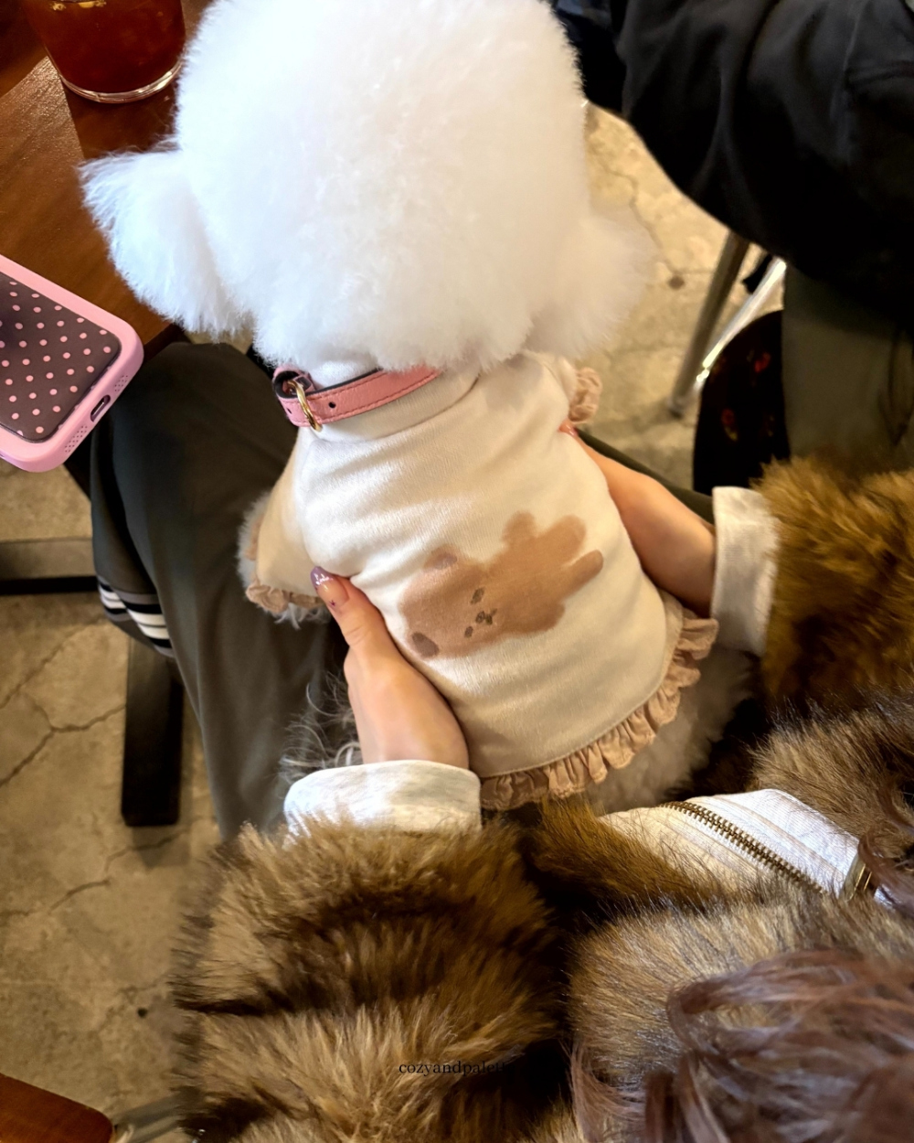 COZY-N 泰迪朋友高領衫＿燕麥卡其