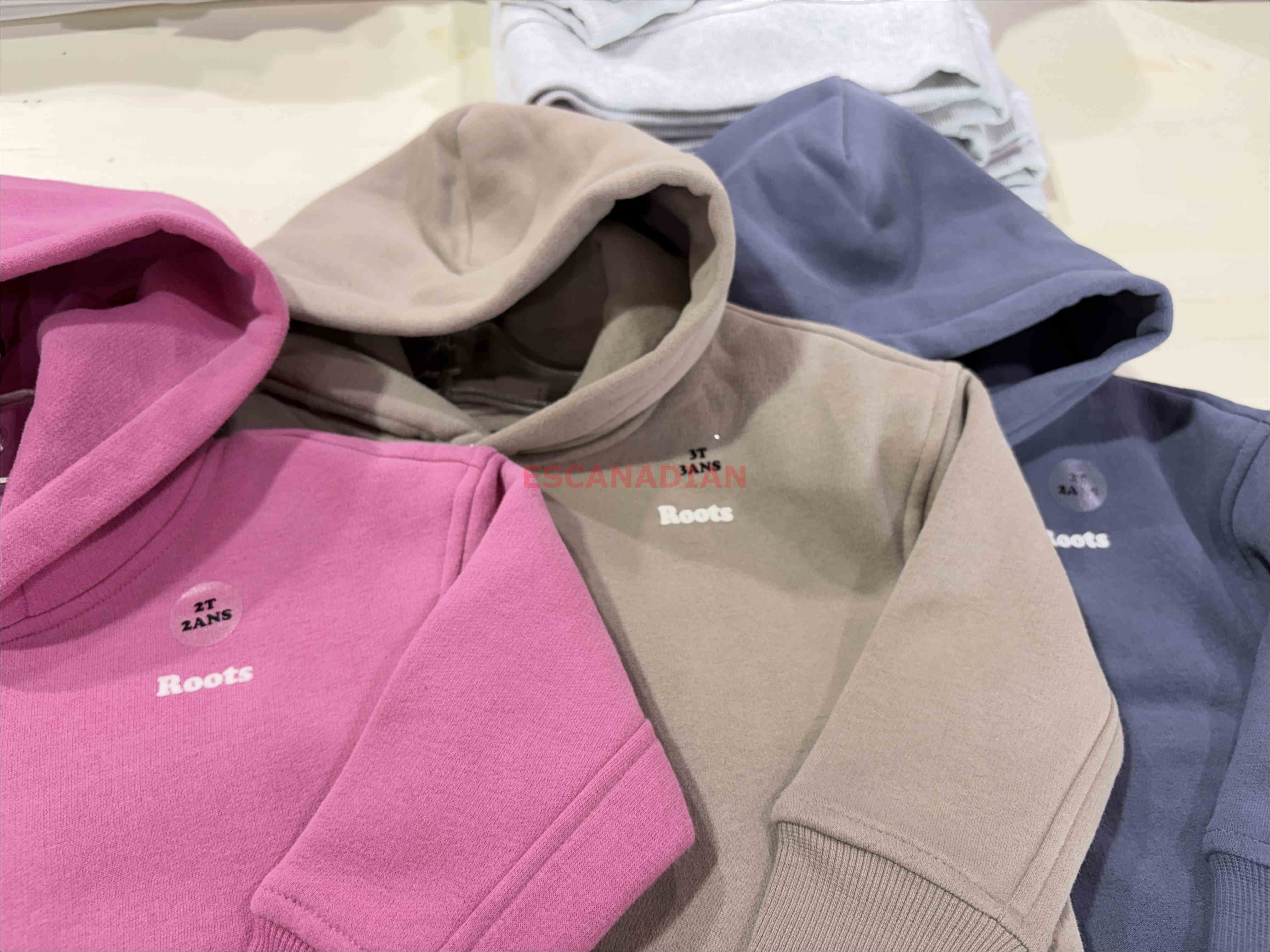 ROOTS 小童 Cloud系列 柔軟厚棉質 落肩寬版 刷毛 帽TEE (3色)