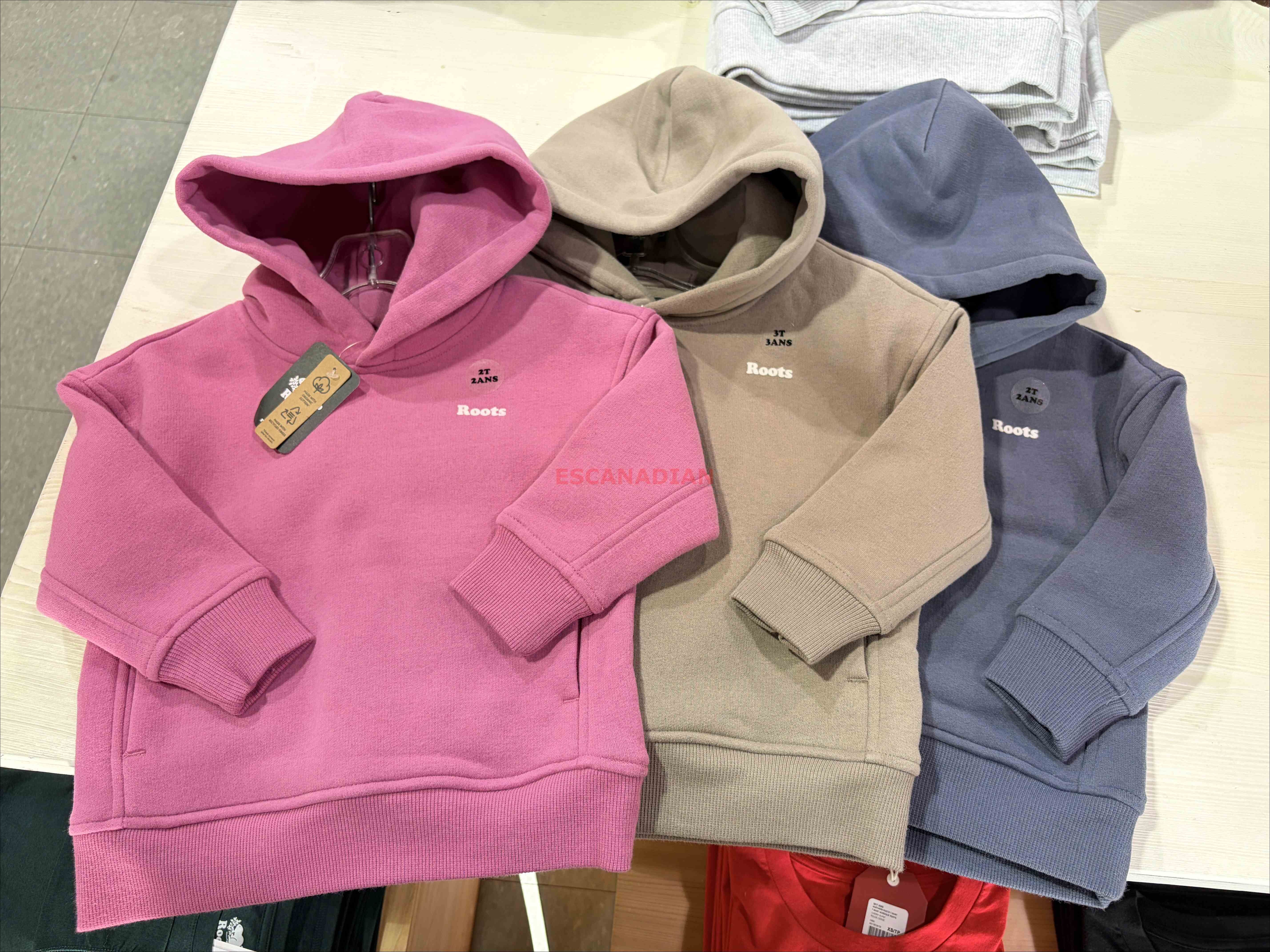 ROOTS 小童 Cloud系列 柔軟厚棉質 落肩寬版 刷毛 帽TEE (3色)