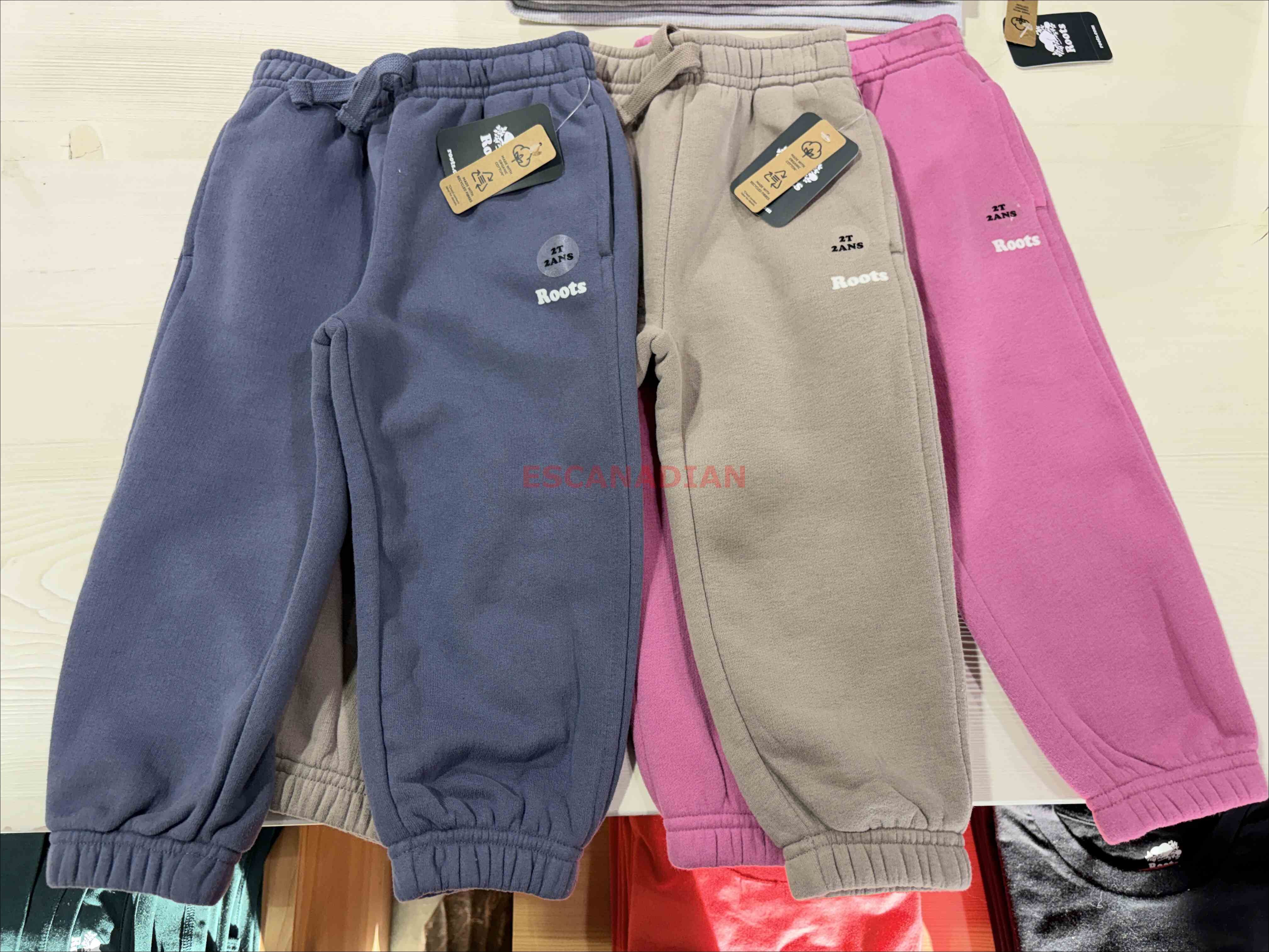 ROOTS 小童 Cloud系列 柔軟厚棉 刷毛 縮口棉褲 (3色)