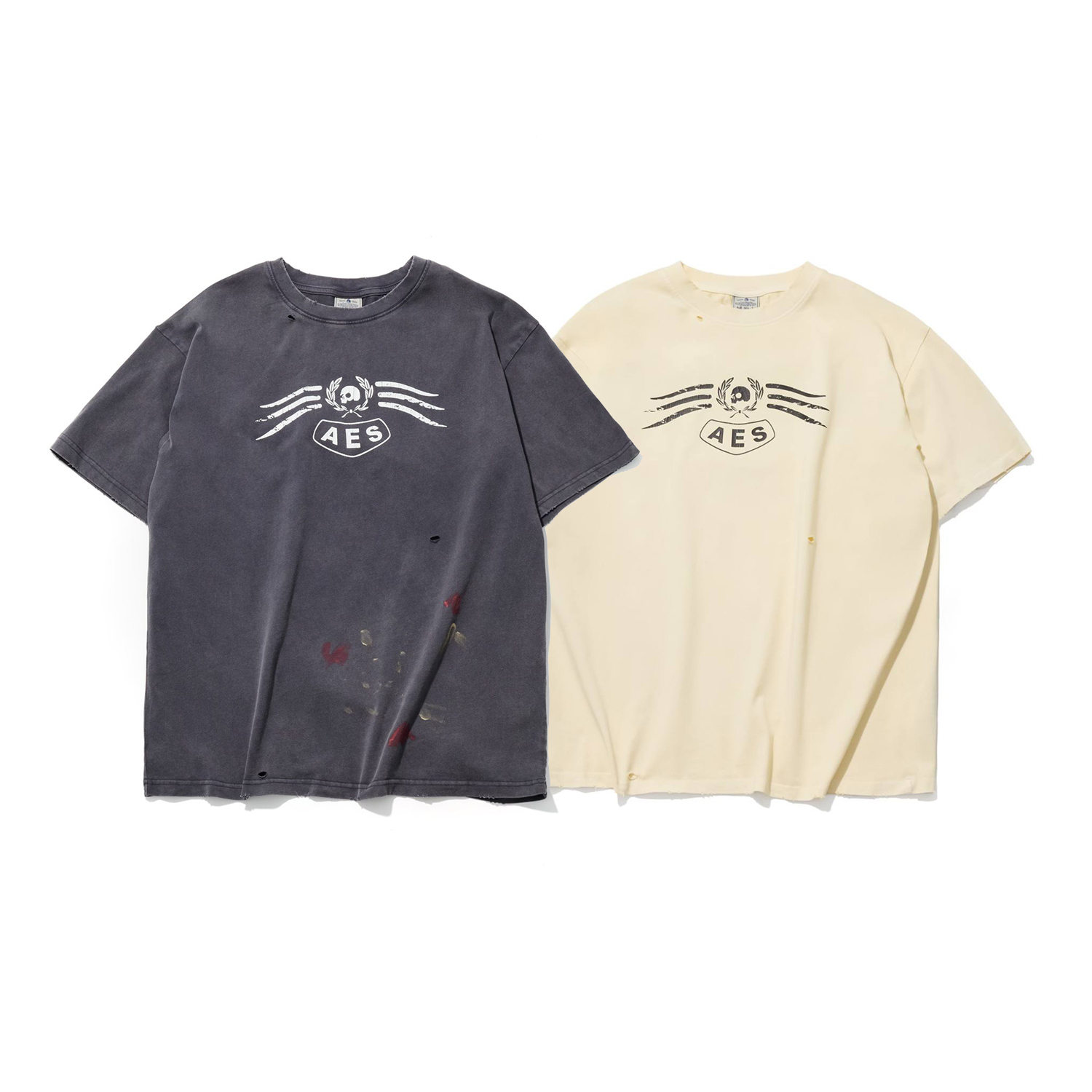 【車庫服飾】AES SKULL & EAGLE TOTEM VINTAGE WASHED OVERSIZE TEE
