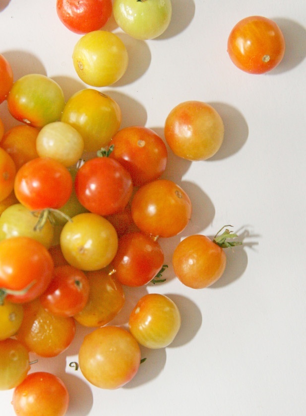 Local Organic Mixed Cherry Tomato (BAG)
