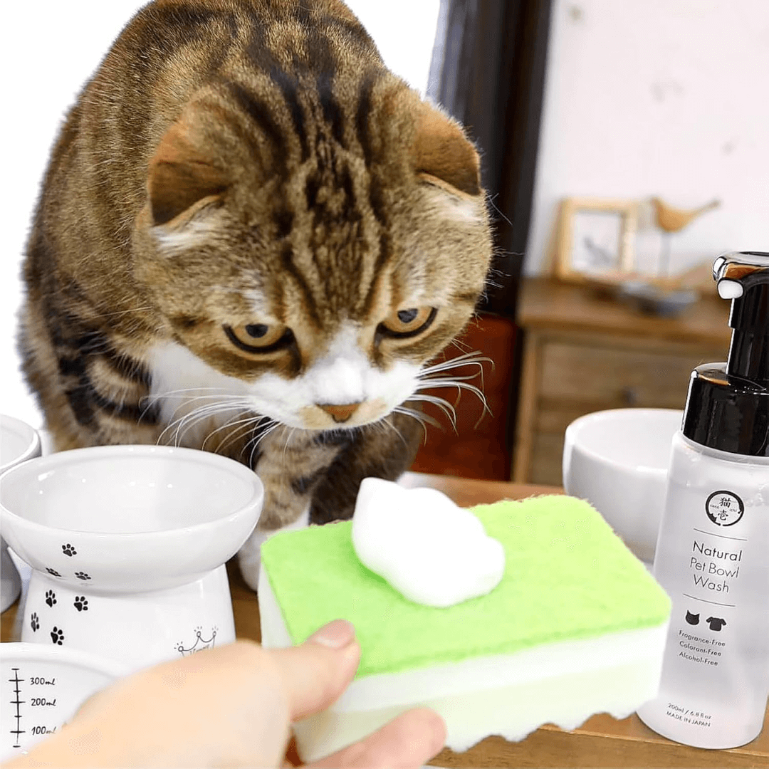 日本貓壹Necoichi天然寵物洗碗泡泡 200ml