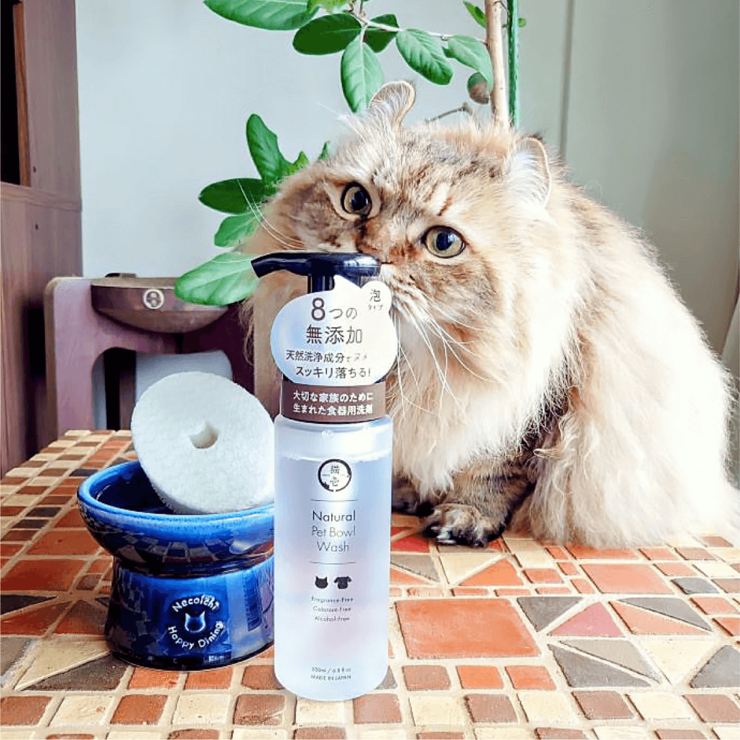 日本貓壹Necoichi天然寵物洗碗泡泡 200ml