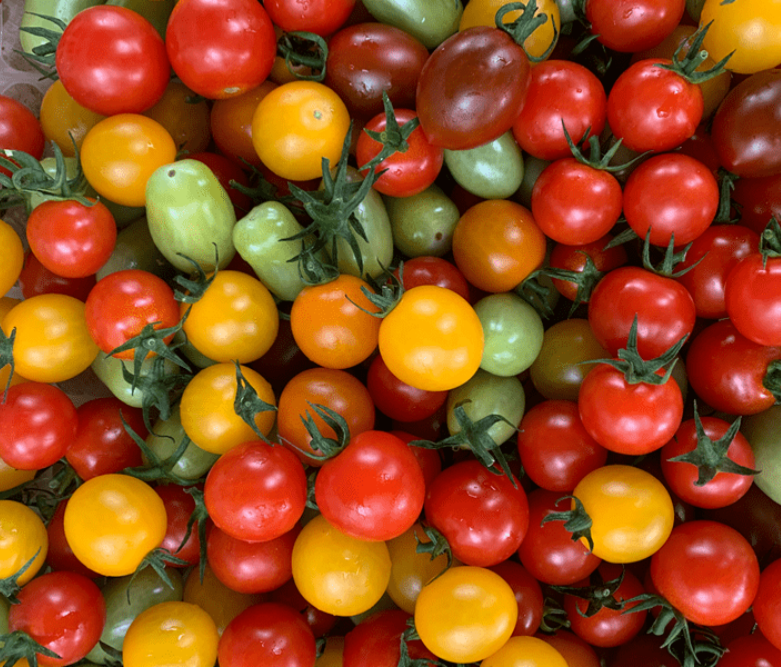 Local Organic Mixed Cherry Tomato (BAG)