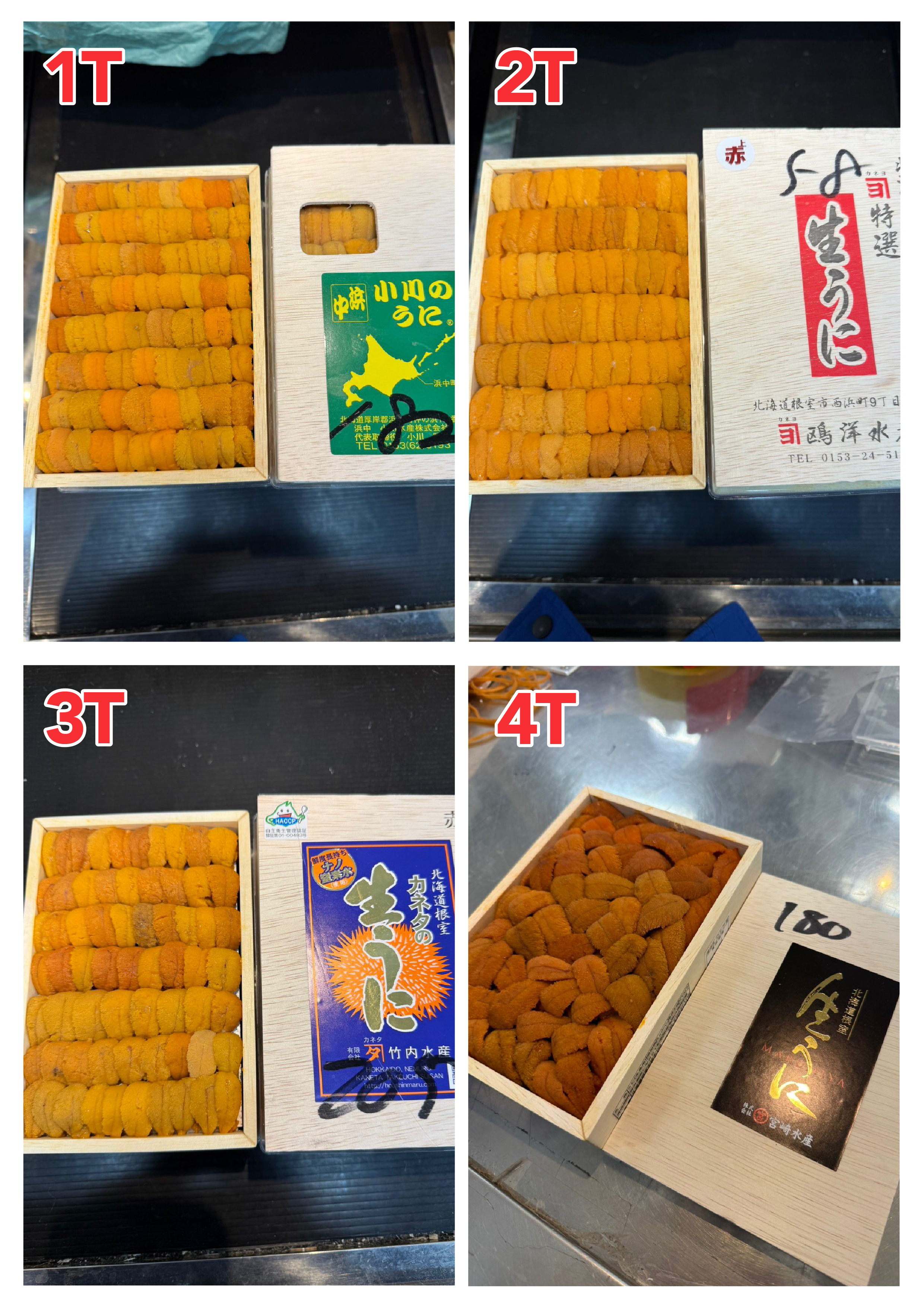 【指定海膽推薦】每天更新 (限即日落單, 翌日送)