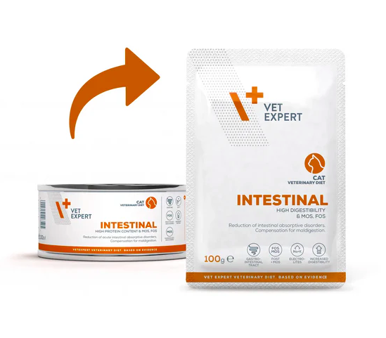 Vet Expert -  貓腸胃處方袋裝濕糧 100克 x12 包