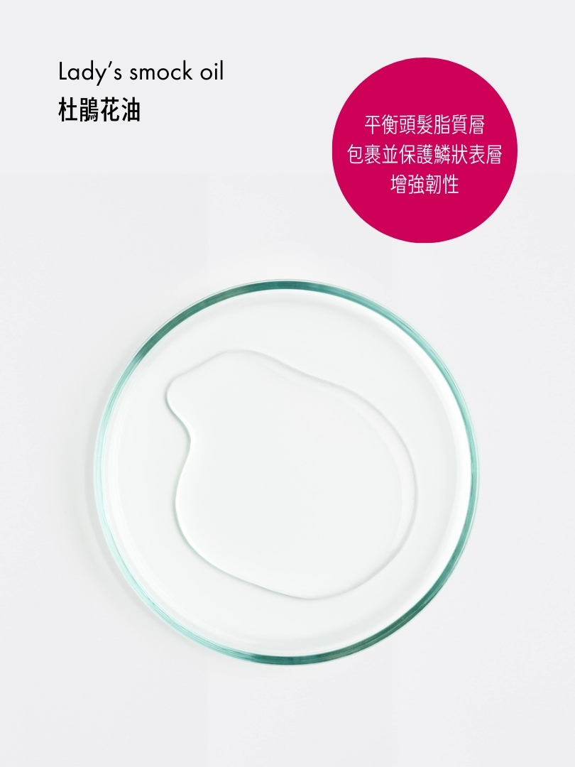 絲柔免沖洗輕感護髮油