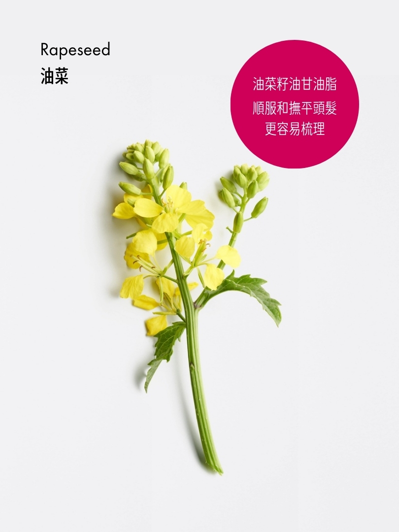 絲柔防打結亮澤素
