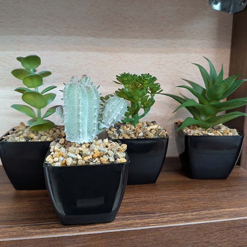 仿真裝飾盆栽/多肉植物 A