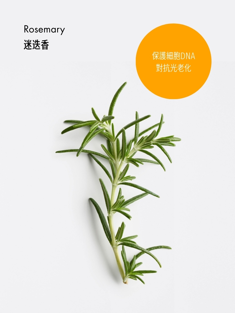 葵花籽SPF50環保高效(防水)身體防曬