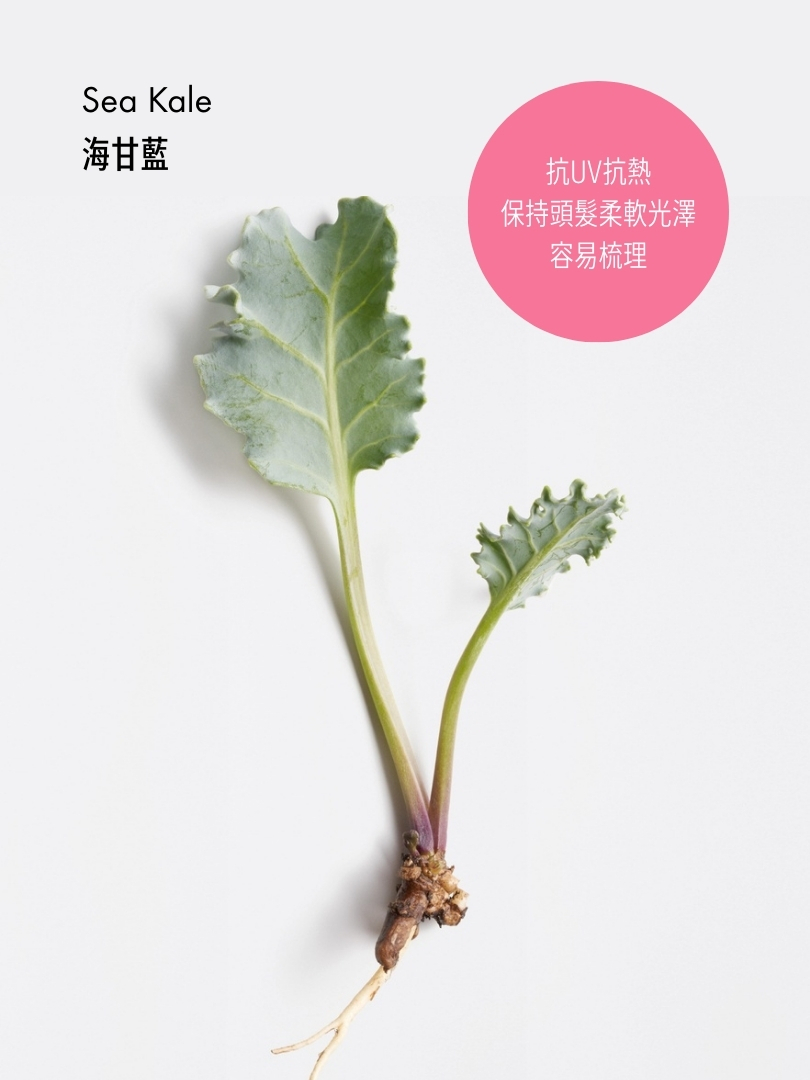 閃亮鎖色洗髮露