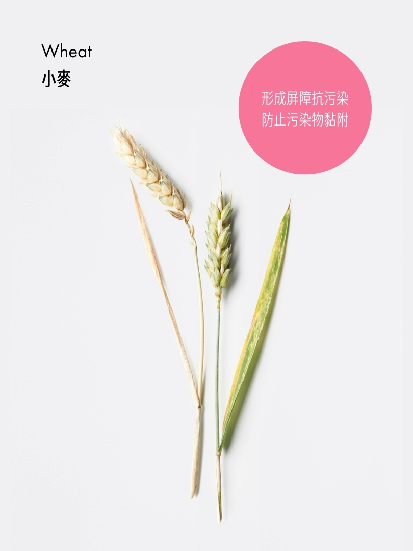 閃亮鎖色護髮素 (旅行裝)
