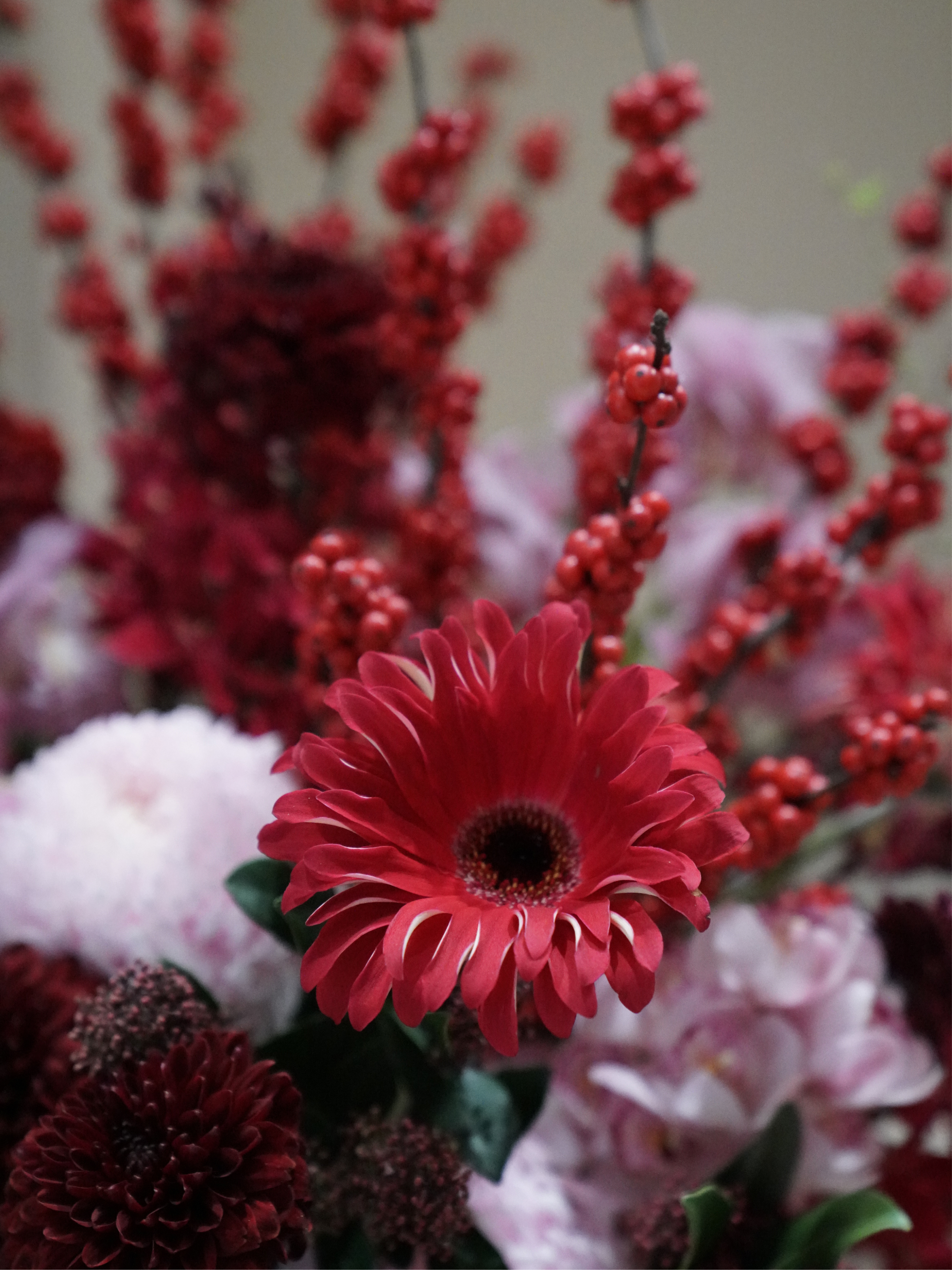 高級客訂 朱瓷映歲 紅花瓷 新年盆花（鮮花與永生花版本）