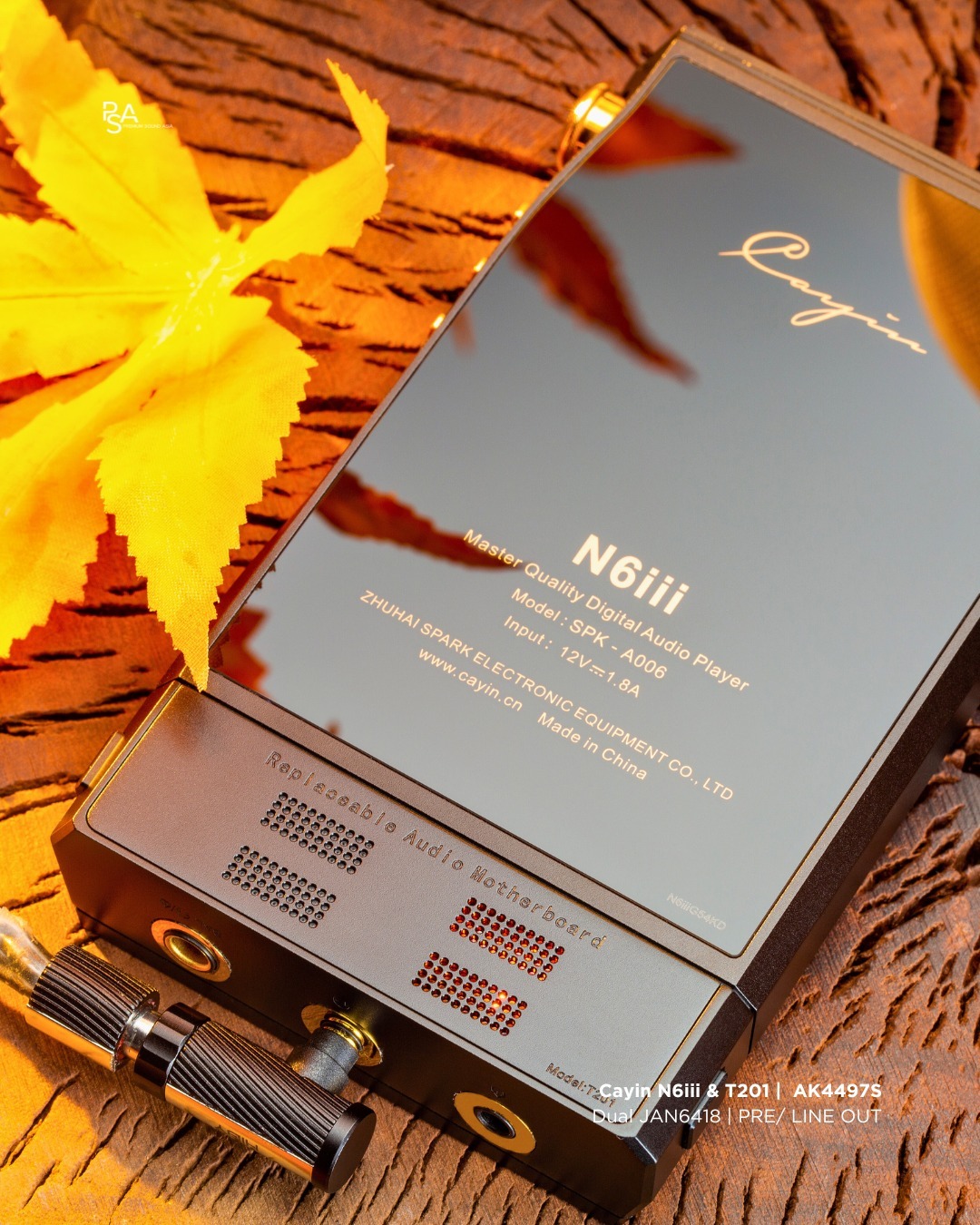 Cayin T201 音頻主板(Cayin N6iii 音樂播放器專用)