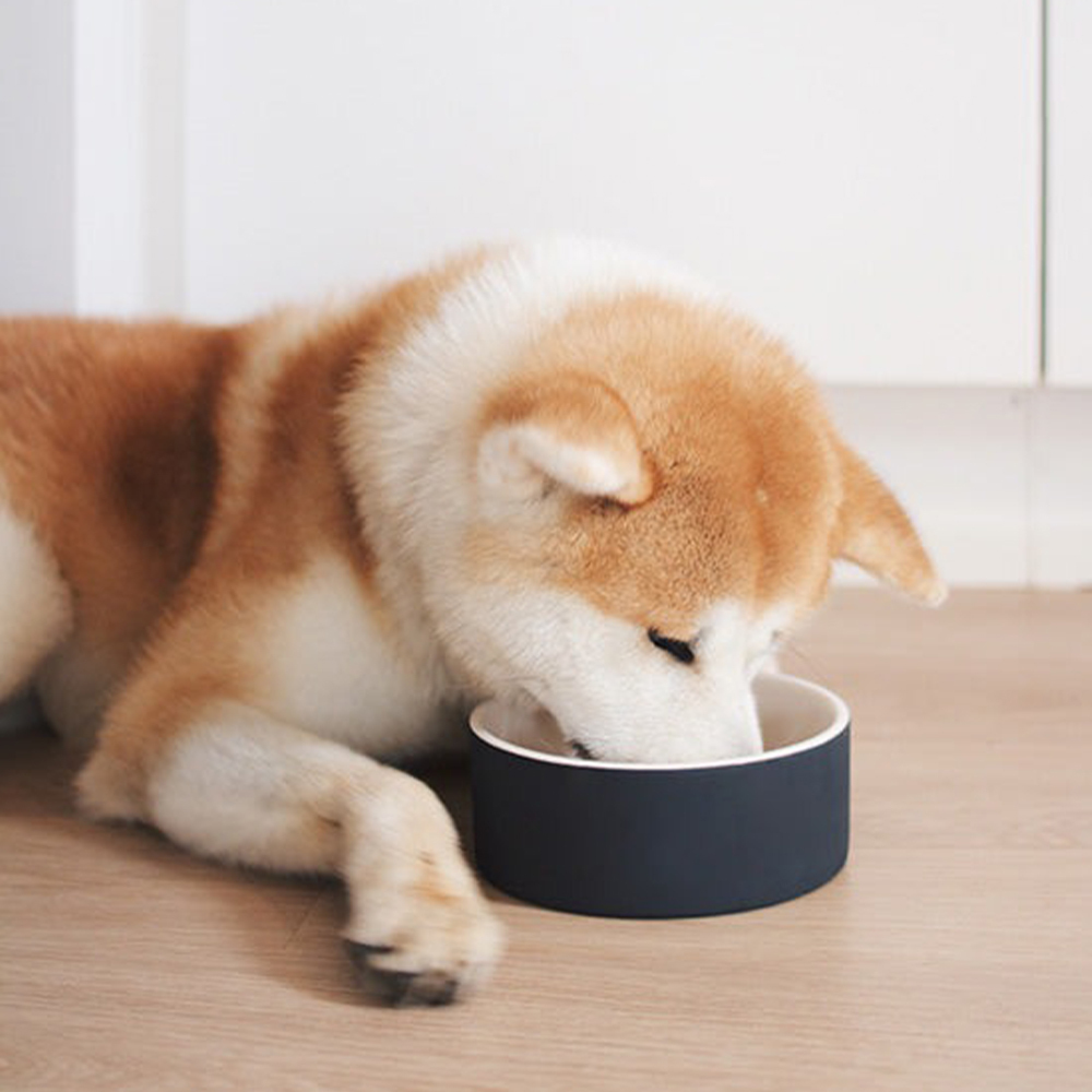 Magisso|無滴冷卻陶 寵物水碗【福利品】