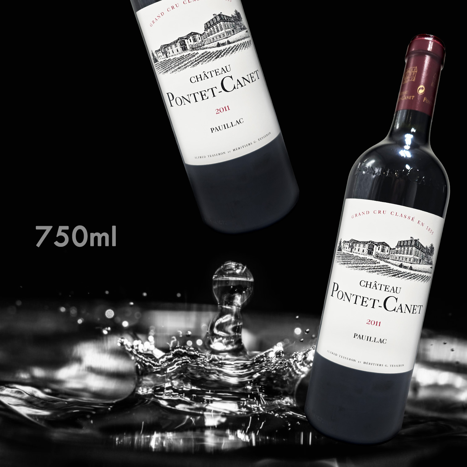 Chateau Ponntet-Canet Pauillac Grand Cru 2011 (750ML)