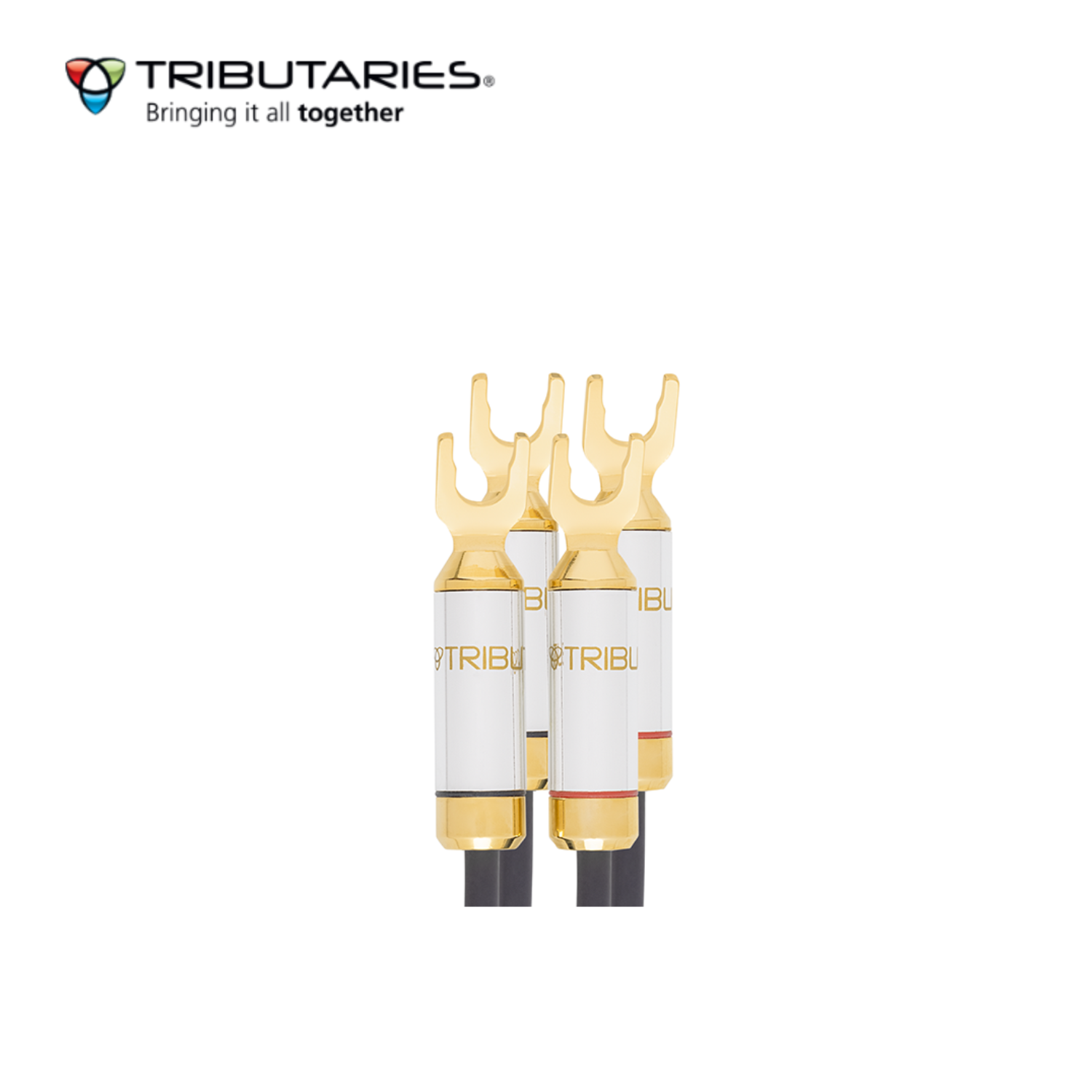 Tributaries 8SP MKII 喇叭線 (5N LC-OFC線性大晶體無氧銅) (1對)