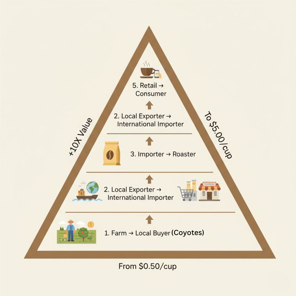 咖啡悖論，從產地到杯中