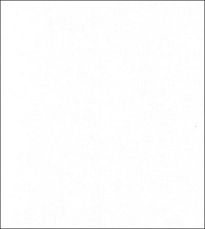 FN36 狐狸毛珍珠釦開襟上衣