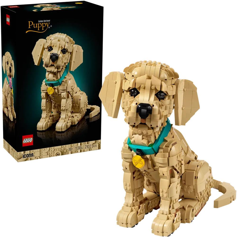 LEGO 11384 樂高積木 11384 Icons 系列 - 小黃金獵犬