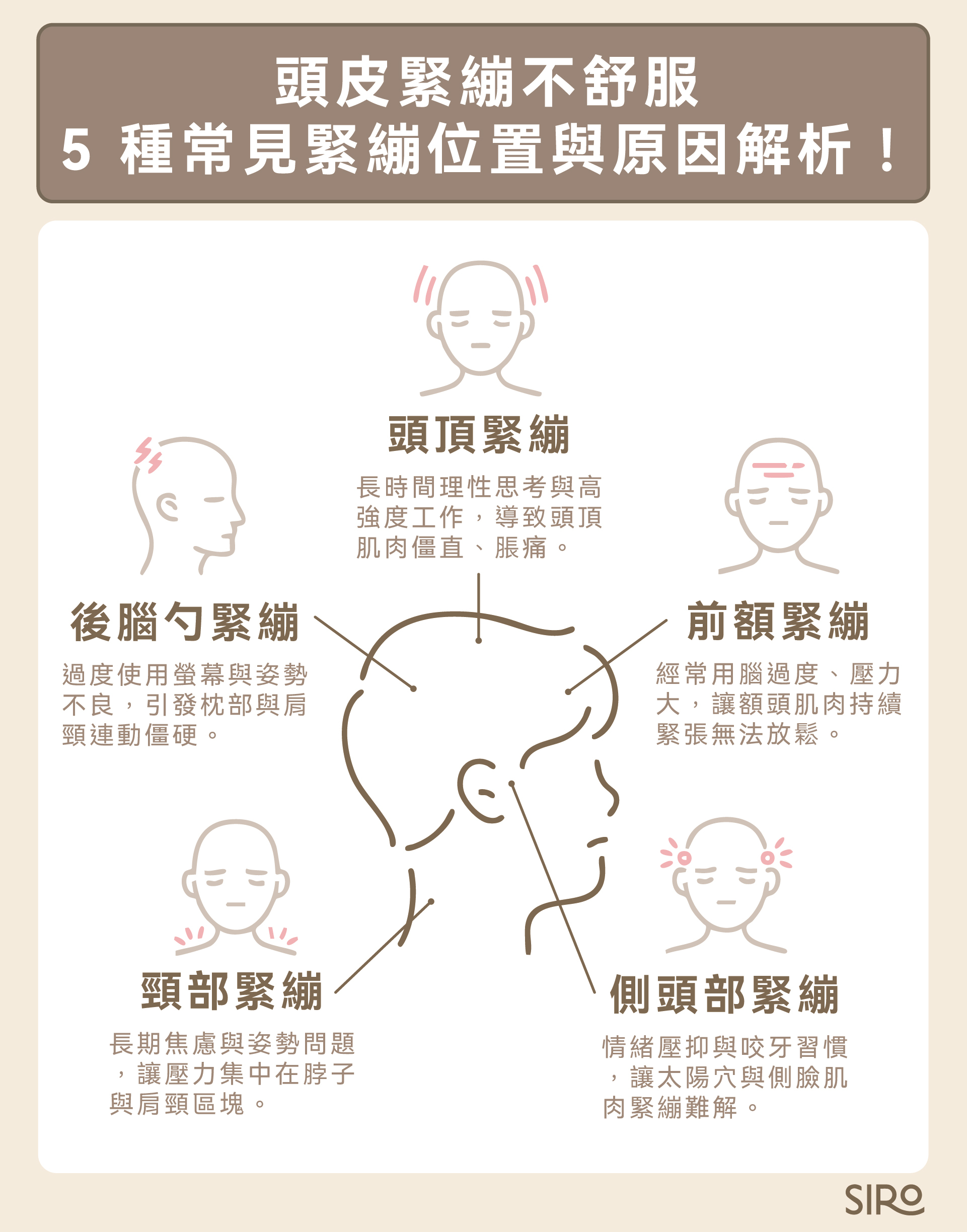 頭皮緊繃 5 位置：頭頂、前額、後腦杓、側頸部、頸部