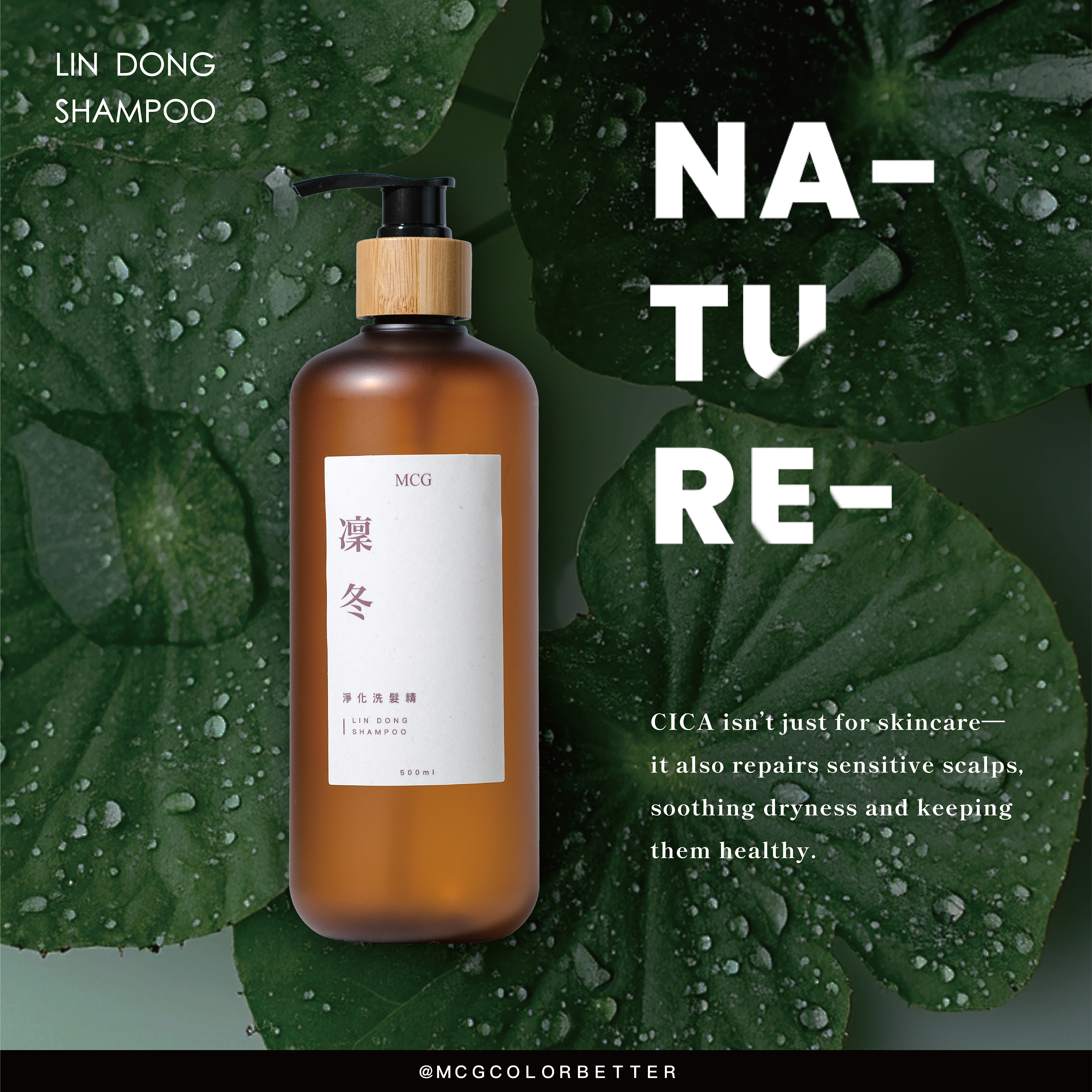 Did you know? Centella Asiatica isn’t just for your face—it also benefits the scalp