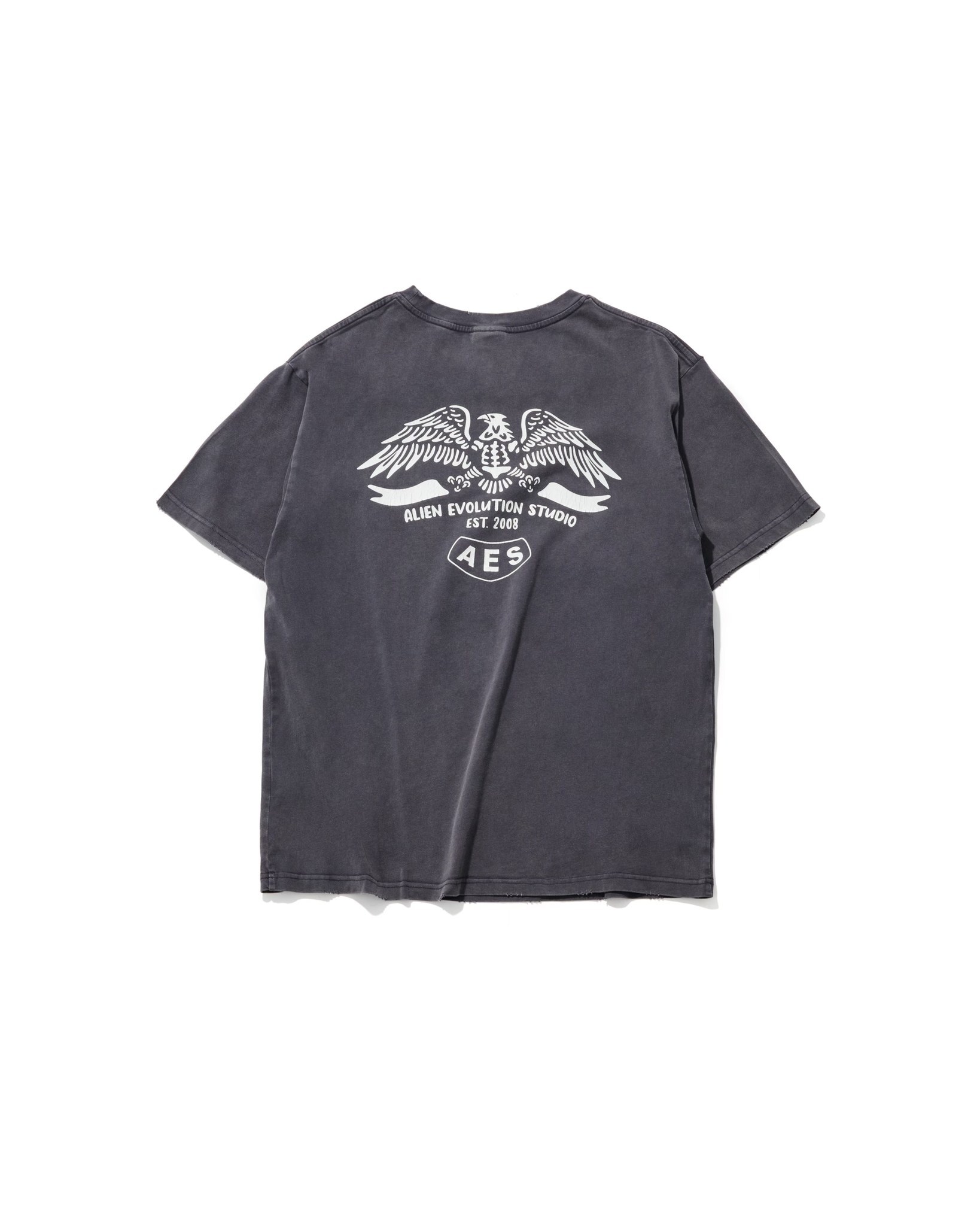 AES SKULL & EAGLE TOTEM VINTAGE WASHED OVERSIZE TEE