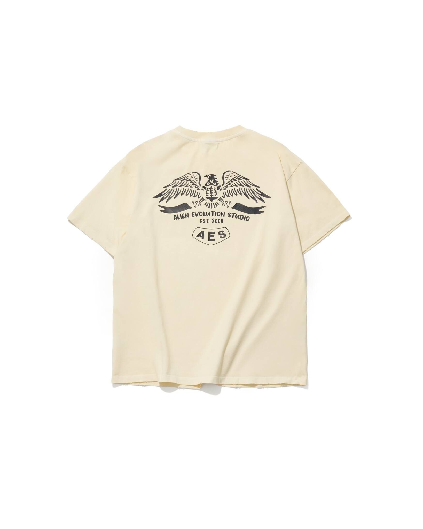 AES SKULL & EAGLE TOTEM VINTAGE WASHED OVERSIZE TEE