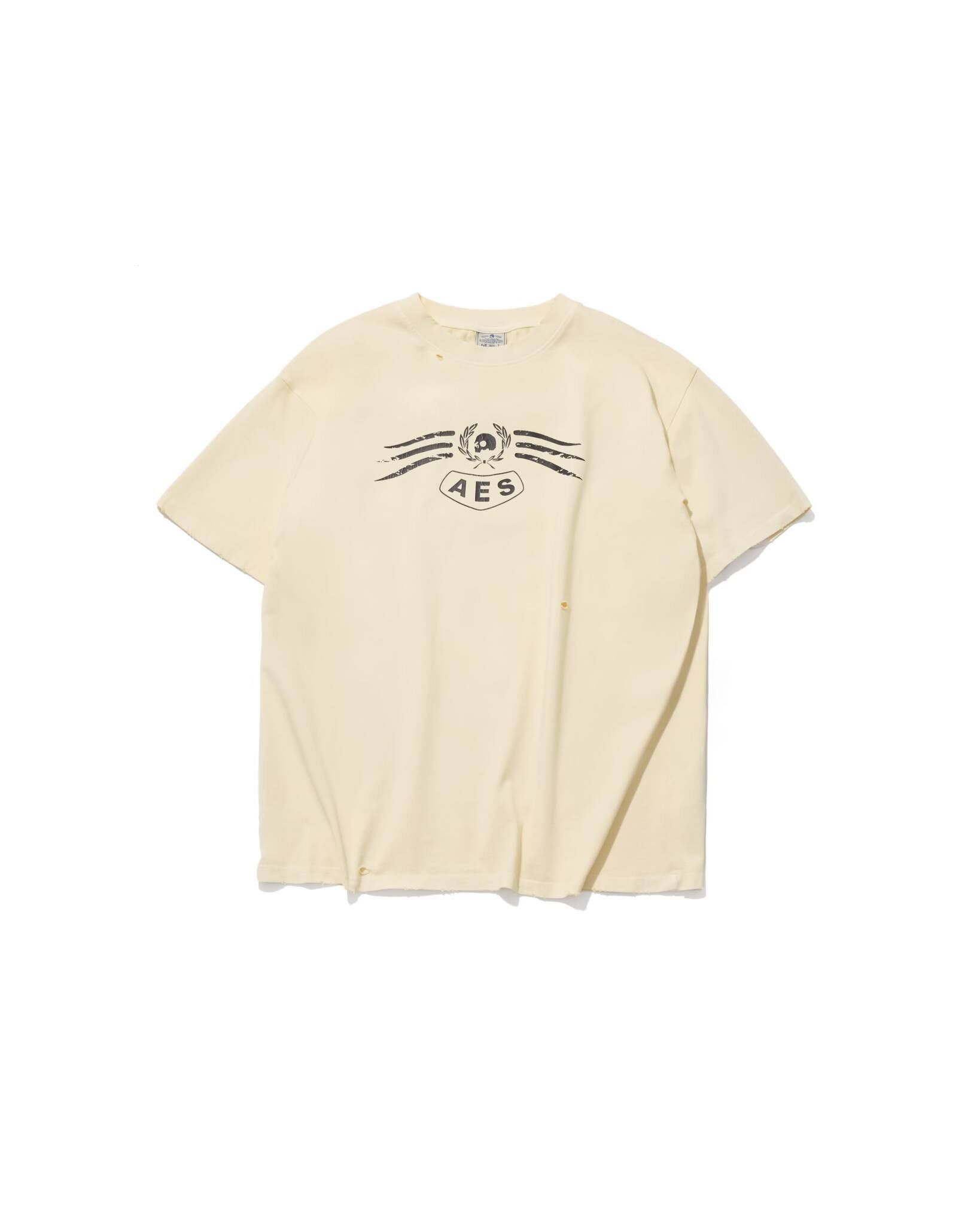 AES SKULL & EAGLE TOTEM VINTAGE WASHED OVERSIZE TEE